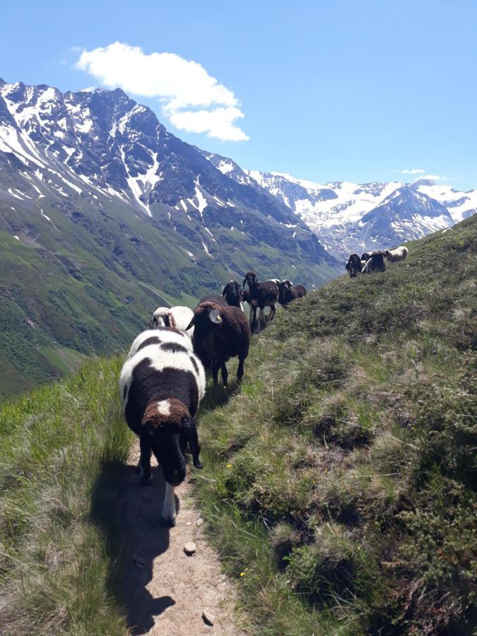 Berg-Juwel Lägenhet Sankt Leonhard im Pitztal Exteriör bild